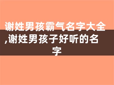 谢姓男孩霸气名字大全,谢姓男孩子好听的名字