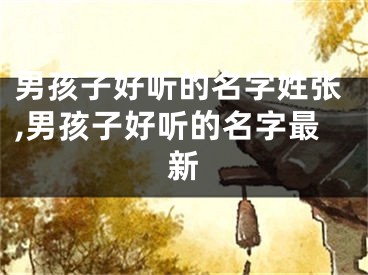 男孩子好听的名字姓张,男孩子好听的名字最新