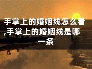 手掌上的婚姻线怎么看,手掌上的婚姻线是哪一条