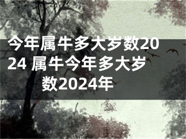 今年属牛多大岁数2024 属牛今年多大岁数2024年