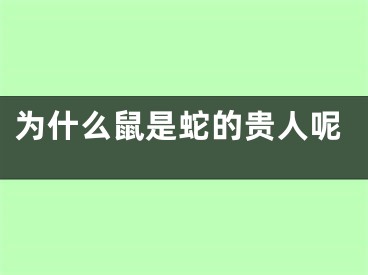 为什么鼠是蛇的贵人呢