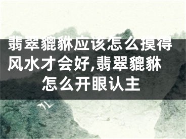 翡翠貔貅应该怎么摸得风水才会好,翡翠貔貅怎么开眼认主
