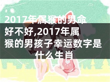 2017年属猴的男命好不好,2017年属猴的男孩子幸运数字是什么生肖