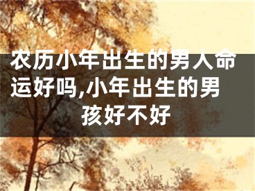 农历小年出生的男人命运好吗,小年出生的男孩好不好