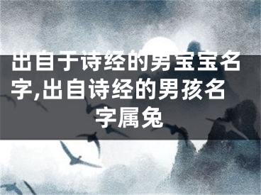 出自于诗经的男宝宝名字,出自诗经的男孩名字属兔