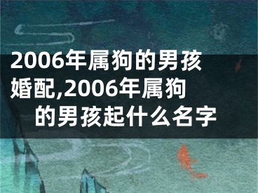 2006年属狗的男孩婚配,2006年属狗的男孩起什么名字