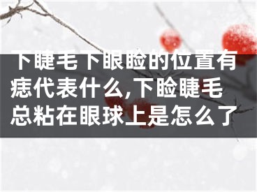 下睫毛下眼睑的位置有痣代表什么,下睑睫毛总粘在眼球上是怎么了