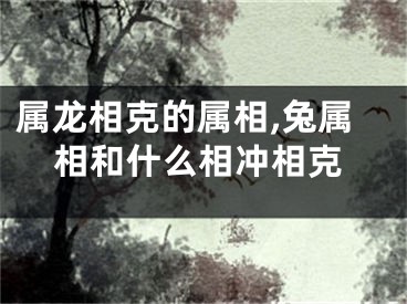属龙相克的属相,兔属相和什么相冲相克