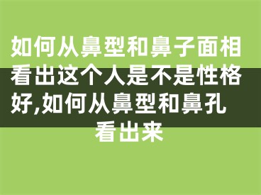 如何从鼻型和鼻子面相看出这个人是不是性格好,如何从鼻型和鼻孔看出来