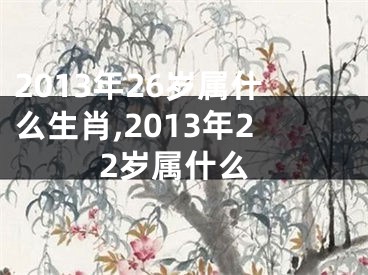 2013年26岁属什么生肖,2013年22岁属什么