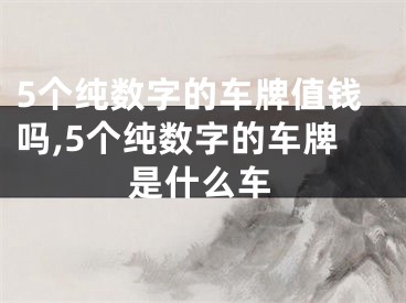 5个纯数字的车牌值钱吗,5个纯数字的车牌是什么车