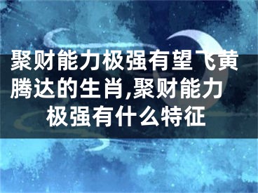 聚财能力极强有望飞黄腾达的生肖,聚财能力极强有什么特征