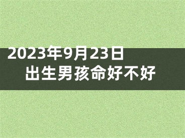 2023年9月23日出生男孩命好不好