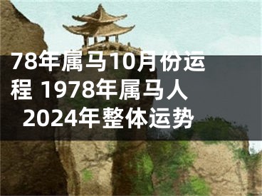 78年属马10月份运程 1978年属马人2024年整体运势