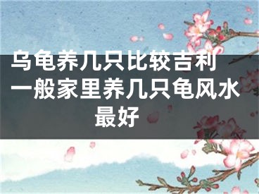 乌龟养几只比较吉利 一般家里养几只龟风水最好 