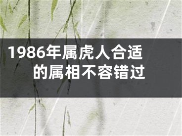 1986年属虎人合适的属相不容错过