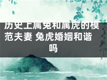 历史上属兔和属虎的模范夫妻 兔虎婚姻和谐吗