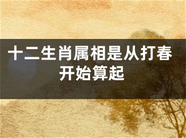 十二生肖属相是从打春开始算起