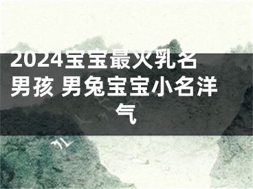 2024宝宝最火乳名男孩 男兔宝宝小名洋气