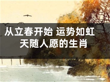 从立春开始 运势如虹天随人愿的生肖