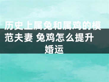 历史上属兔和属鸡的模范夫妻 兔鸡怎么提升婚运