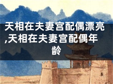 天相在夫妻宫配偶漂亮,天相在夫妻宫配偶年龄