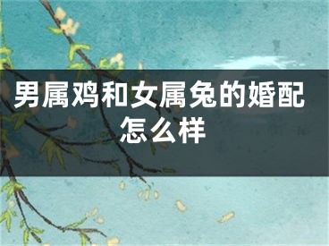 男属鸡和女属兔的婚配怎么样
