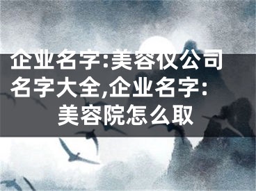企业名字:美容仪公司名字大全,企业名字:美容院怎么取