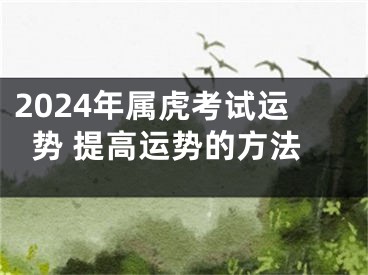 2024年属虎考试运势 提高运势的方法