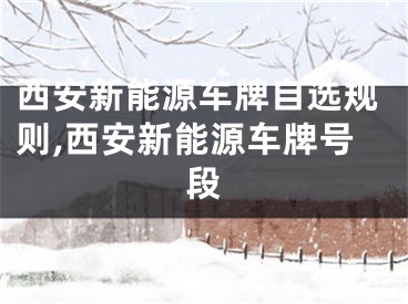 西安新能源车牌自选规则,西安新能源车牌号段