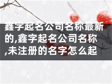 鑫字起名公司名称最新的,鑫字起名公司名称,未注册的名字怎么起