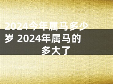 2024今年属马多少岁 2024年属马的多大了