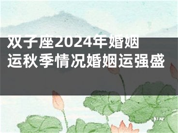 双子座2024年婚姻运秋季情况婚姻运强盛 