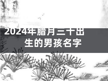 2024年腊月三十出生的男孩名字