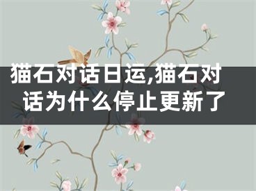 猫石对话日运,猫石对话为什么停止更新了
