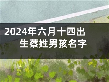 2024年六月十四出生蔡姓男孩名字