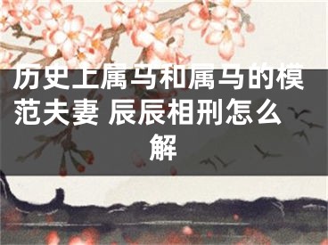 历史上属马和属马的模范夫妻 辰辰相刑怎么解