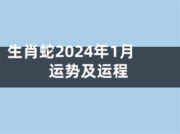 生肖蛇2024年1月运势及运程