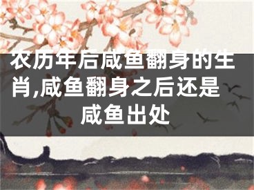 农历年后咸鱼翻身的生肖,咸鱼翻身之后还是咸鱼出处