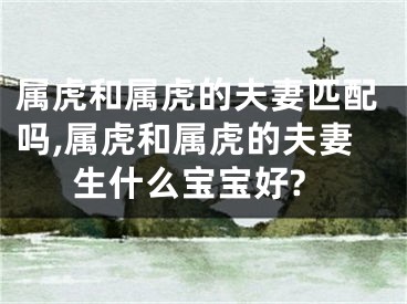 属虎和属虎的夫妻匹配吗,属虎和属虎的夫妻生什么宝宝好?