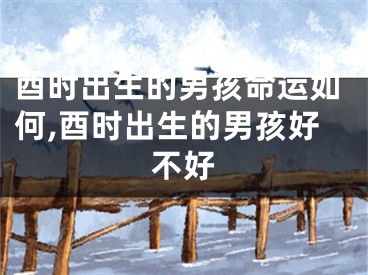 酉时出生的男孩命运如何,酉时出生的男孩好不好