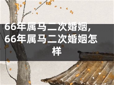 66年属马二次婚姻,66年属马二次婚姻怎样
