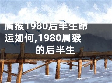 属猴1980后半生命运如何,1980属猴的后半生