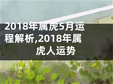 2018年属虎5月运程解析,2018年属虎人运势