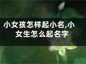 小女孩怎样起小名,小女生怎么起名字