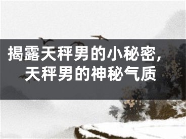 揭露天秤男的小秘密,天秤男的神秘气质