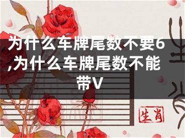 为什么车牌尾数不要6,为什么车牌尾数不能带V
