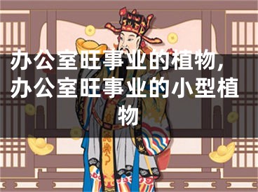 办公室旺事业的植物,办公室旺事业的小型植物