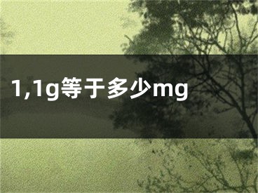 1,1g等于多少mg