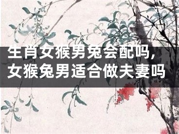 生肖女猴男兔会配吗,女猴兔男适合做夫妻吗